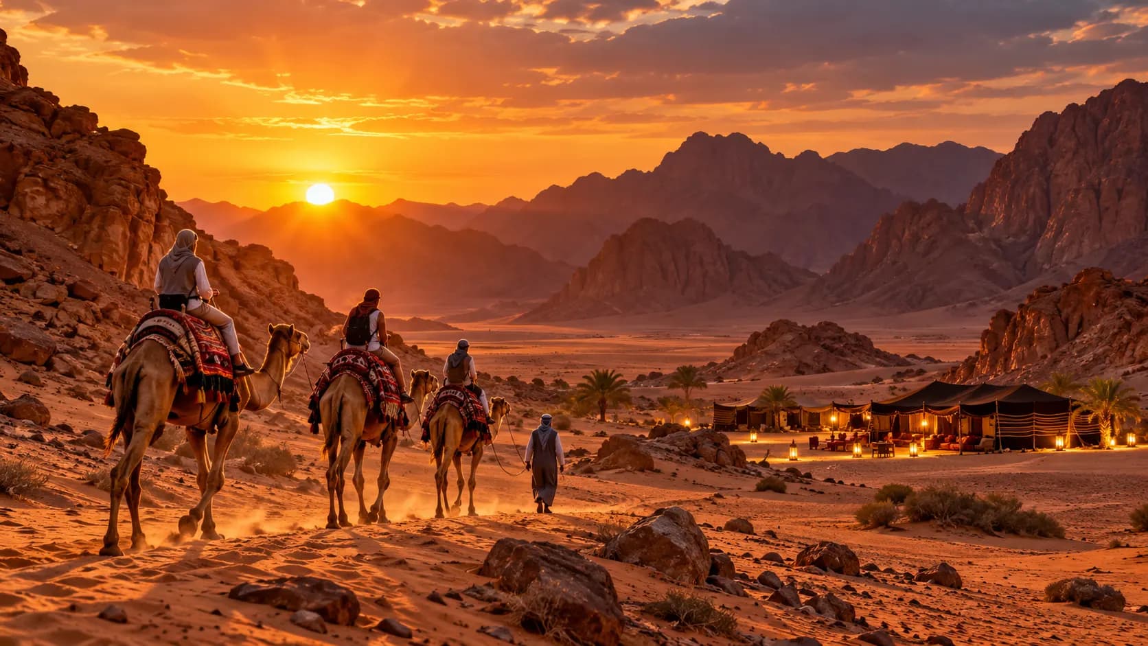 ركوب الجمال وعشاء شواء وعرض بدوي